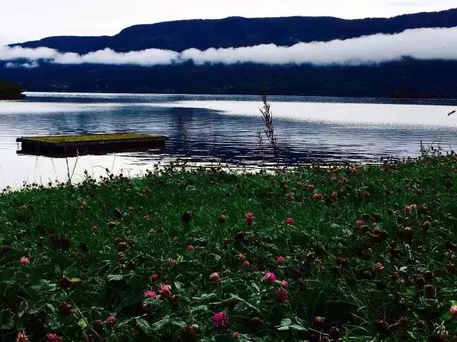 33.webp.jpg 小草影院